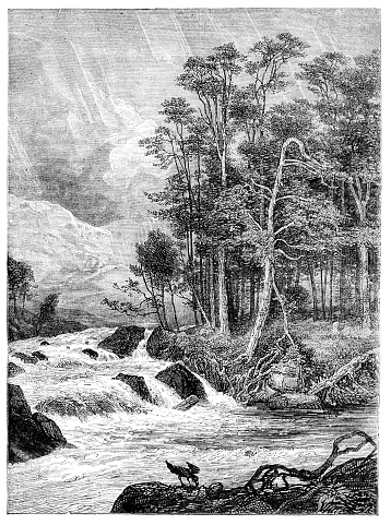 The falls of Dochart Perthshire.