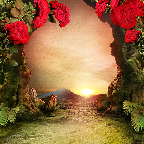 istock misty, romantic forest landscape with roses 508463052