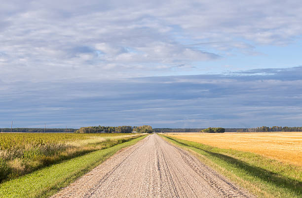 istock Agricultural landscape in late summer 508463800