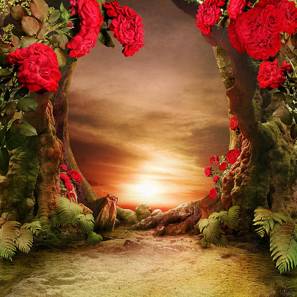istock misty, romantic forest landscape with roses 508466926