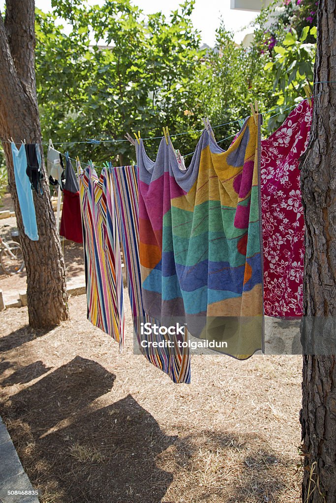 Hanging Laundry Between Pine Tree in the Garden Attached Stock Photo