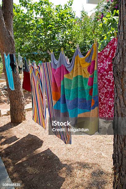 Hanging Laundry Between Pine Tree In The Garden Stock Photo - Download Image Now - Attached, Cheerful, Clean