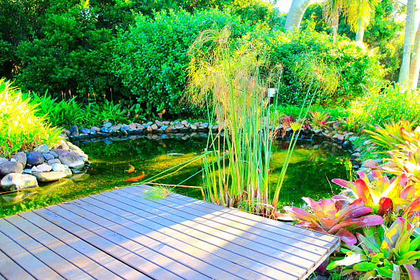 Landscaped garden. A lovely backyard pond in an idyllic setting water garden stock pictures, royalty-free photos & images