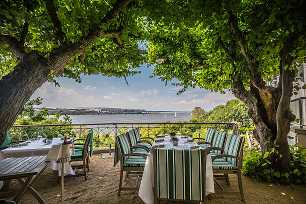 istock View from Linden Terrace on river Elbe - Hamburg 508470227