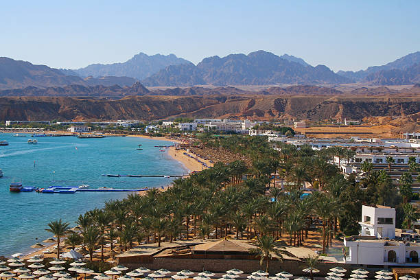 sharm el sheikh - naâma zdjęcia i obrazy z banku zdjęć