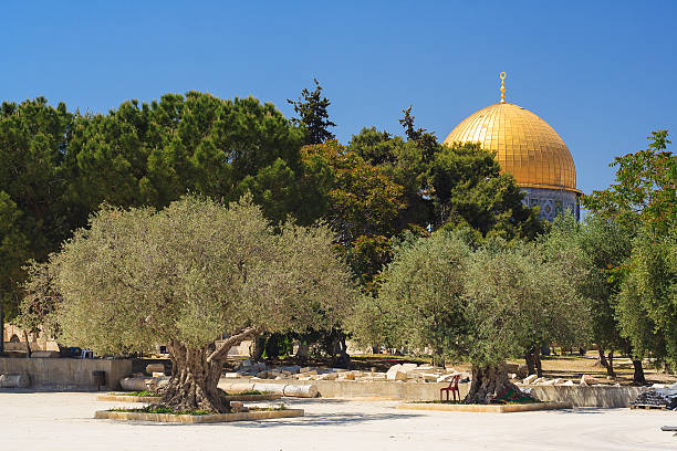 istock Dome of the rock mosque 508471245