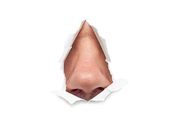 The human nose sticks out through a hole in paper isolated