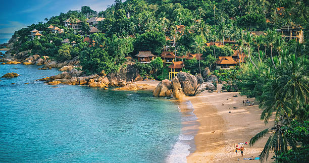istock Panoramic view of tropical beach with coconut palm trees 508484360