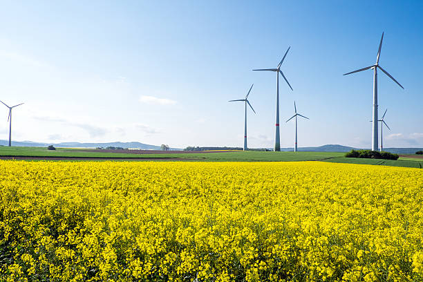 windwheels и семян рапса в германии - klimaschutz стоковые фото и изображения