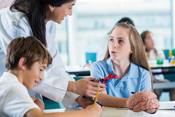 istock Preteen students studying human brain in anatomy class with teacher 508485708