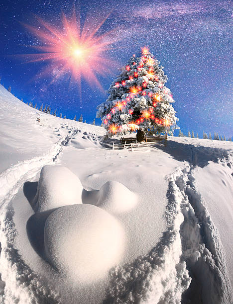 istock Ukrainian Carpathians snowy forest 508485786