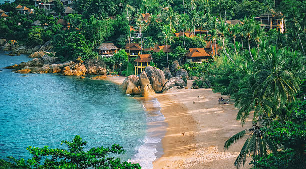 istock Panoramic view of tropical beach with coconut palm trees 508485998