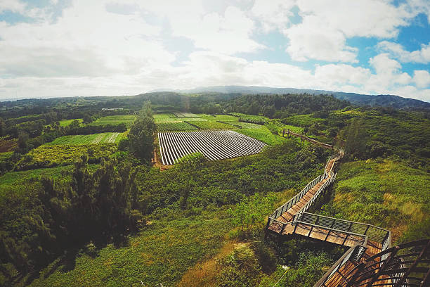 Keana gospodarstwa krajobraz Rolnictwa z North Shore, Hawaje tropikalne – zdjęcie