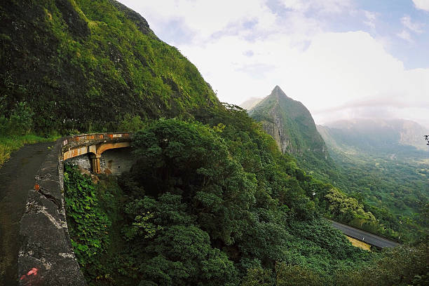 Krajobraz widok stary Pali Road Oahu na Hawajach – zdjęcie