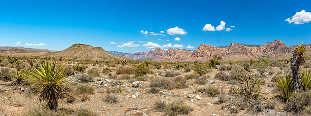 istock Arizona landscape view far west movie 508491430