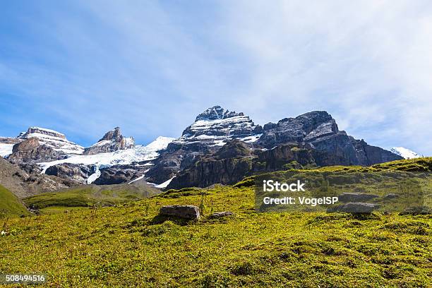 Bluemlisalphorn Near Oeschinen Lake In Kandersteg Stock Photo - Download Image Now - Bern, Bern Canton, Bernese Mountain Dog