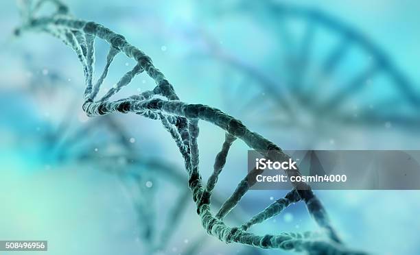 Hebra De Adn Foto de stock y más banco de imágenes de ADN - ADN, Investigación genética, Personas