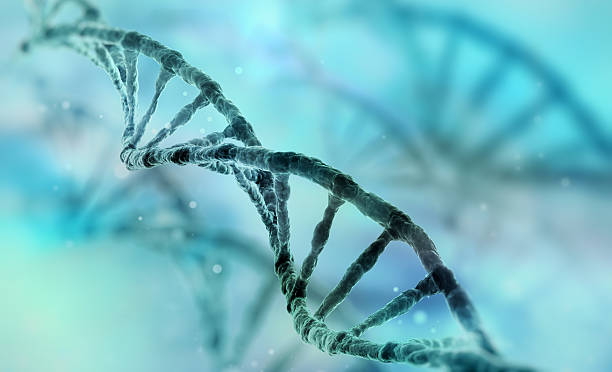 dna strand dna strand genetic research stock pictures, royalty-free photos & images