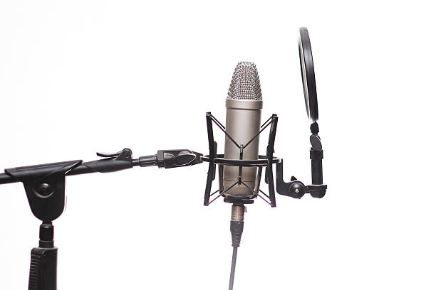 istock Audio recording studio mic on a stand with a filter 508509520