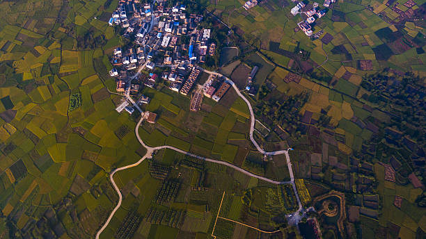 istock Rice fields at sunset,guilin,china 508509832