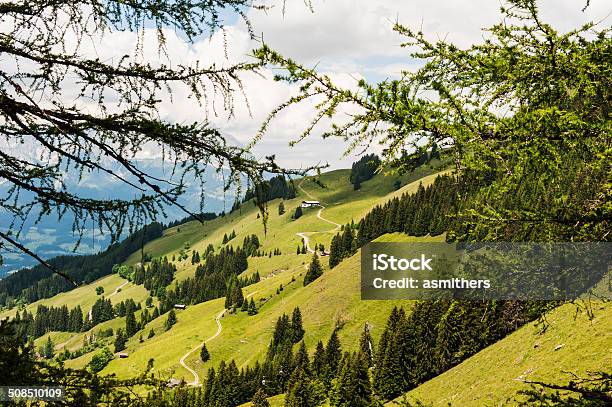 Bocina Kitzbuheler En Kitzbuhel Austria Foto de stock y más banco de imágenes de Aire libre - Aire libre, Alpes Europeos, Austria