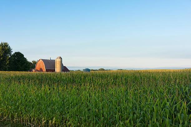 istock Country farm scene 508510463