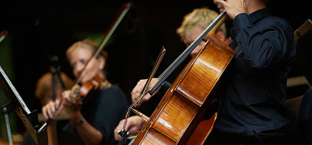 suoni sinfonica - violin family foto e immagini stock