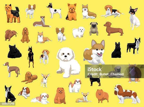 Various Small Dog Breeds Poses Stock Illustration - Download Image Now - Dog, Shih Tzu, Variation