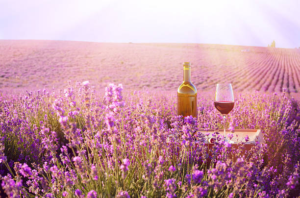 istock Bottle of wine. 508511499