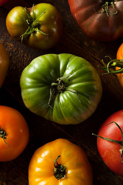 istock Colorful Organic Heirloom Tomatoes 508513073