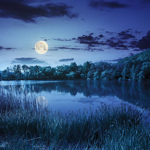 istock forest and lake near the mountain at night 508513433