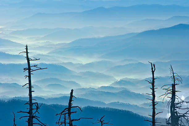 朝の霧 - great smoky mountains national park great smoky mountains asheville sunrise ストックフォトと画像