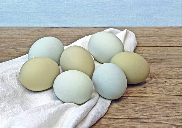 istock Fresh colorful eggs from exotic breed chickens 508513612