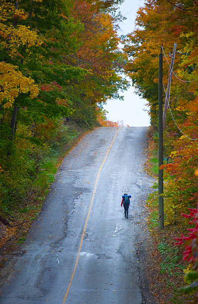 istock Nordic Walking in Autumn mountains 508513638