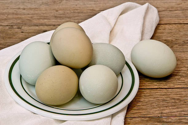 istock Fresh colorful eggs from exotic breed chickens 508513726