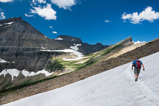 istock Man Hiking Glacier National Park Piegan Pass Trail 508513969