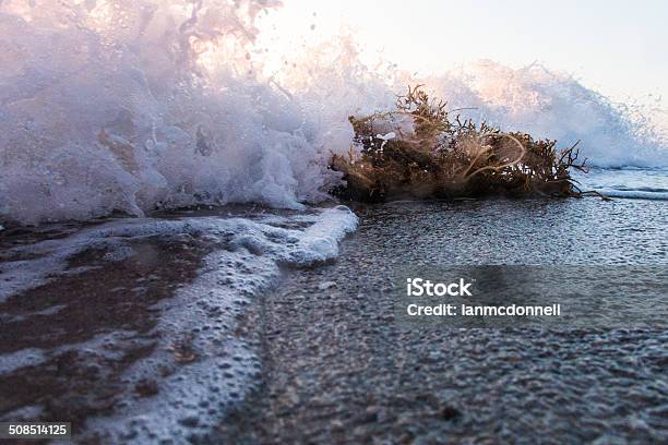 Seaweed And Wave Stock Photo - Download Image Now - Beach, Beauty In Nature, Blue