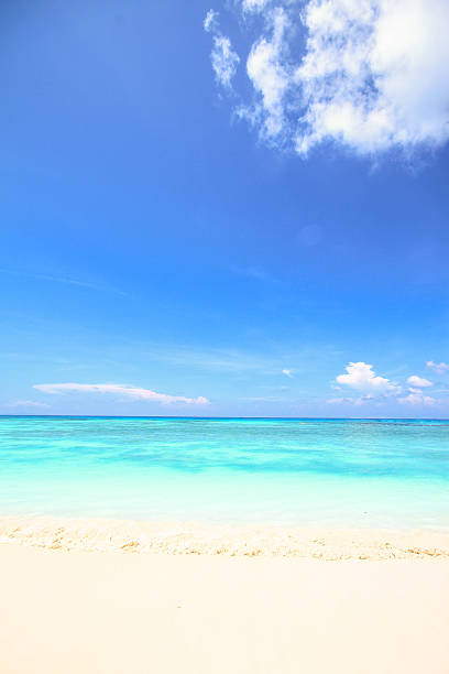 istock Nice beach of Tachai Island 508514226
