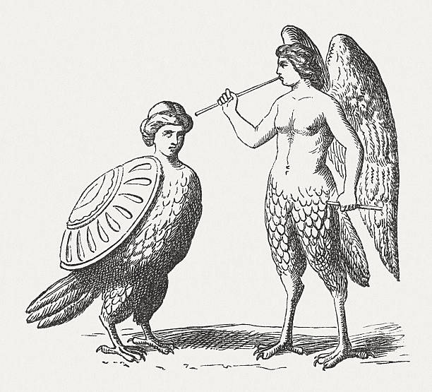 Harpies, female monster, Greek Roman Mythology, wood engraving, published 1878 Harpies - female monster from the Greek Roman Mythology. Woodcut engraving, published in 1878. harpy eagle stock illustrations