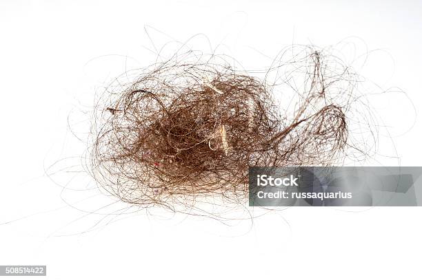 Hair Ball Stock Photo - Download Image Now - Sphere, Dust, Dirt - iStock