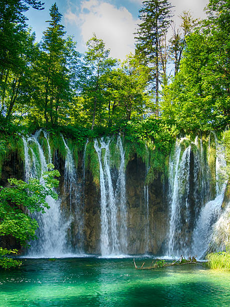 Transparent river in Plitvice, Croatia