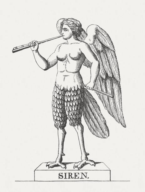 1,400+ Sirens Mythology Stock Photos, Pictures & Royalty-Free Images