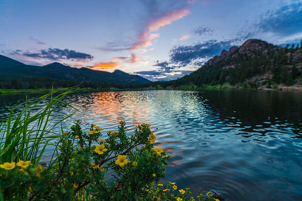 istock Lilly Lake at Sunset - Colorado 508514919