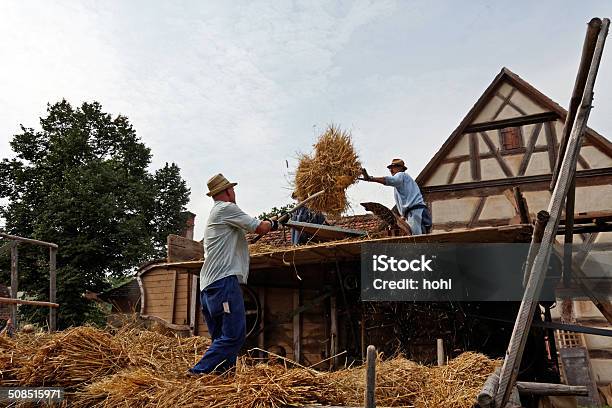 Foto de No Trabalho De Silagem e mais fotos de stock de Adulto - Adulto, Adulto de idade mediana, Agricultura