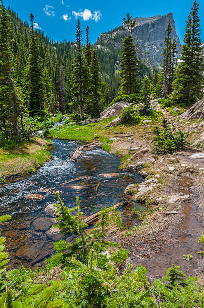 istock Glacier creek with Hallett Peak 508516287
