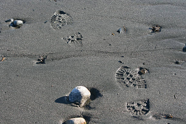 istock Shoe Prints in the Sand 508516352