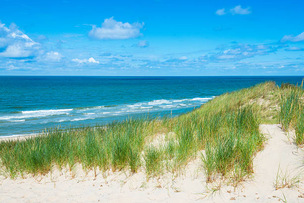 istock Sea, Sand and Dunes 508517405