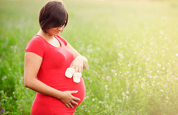 istock Young pregnant woman 508517521
