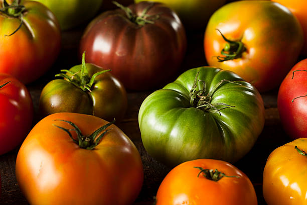 istock Colorful Organic Heirloom Tomatoes 508517683
