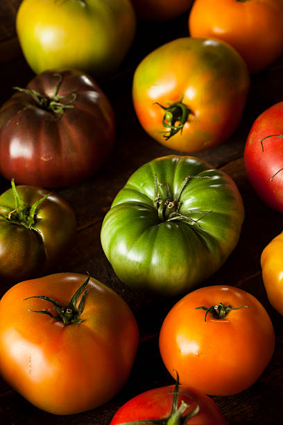 istock Colorful Organic Heirloom Tomatoes 508517685
